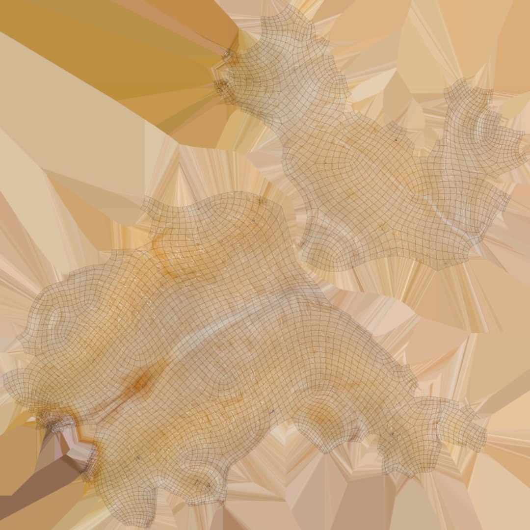 3D Dry Chickpea Collection model https://p.turbosquid.com/ts-thumb/ms/T26BYA/px/chickpeadry03_c0004/png/1770120176/1920x1080/fit_q87/2e70f7d589682ecda80043dfc8a4d2df28894b2b/chickpeadry03_c0004.jpg