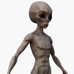3D model grey alien pbr