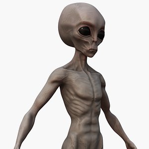 Grey Alien  UFO PBR