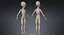 3D model grey alien pbr