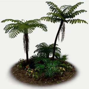 Jungle Plants 3D model