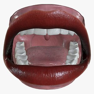 MTH-005 Rigged Woman Mouth