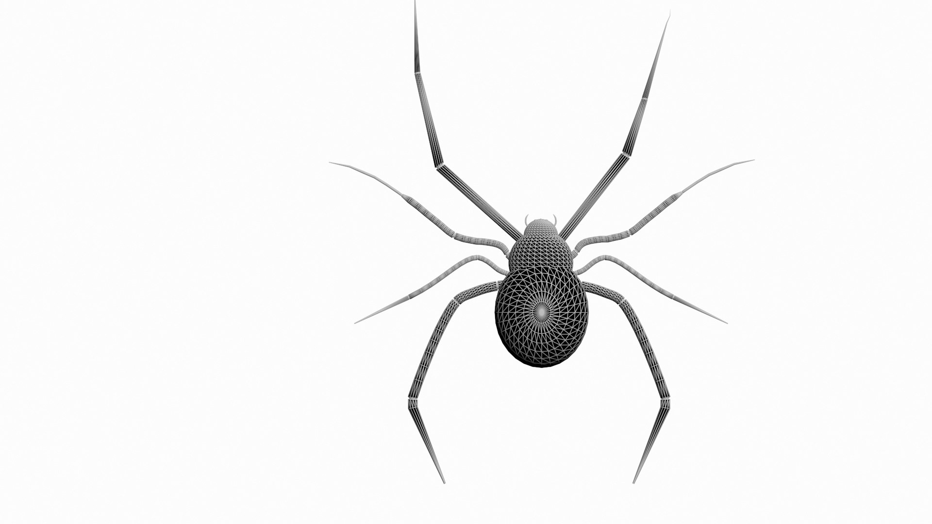 Redback Spider Model - TurboSquid 1926893