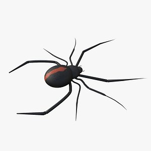 Redback Spider