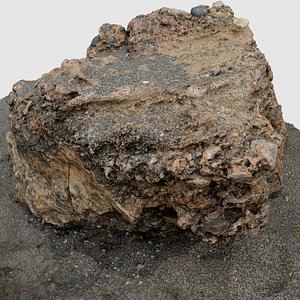 3D model scan rock beach