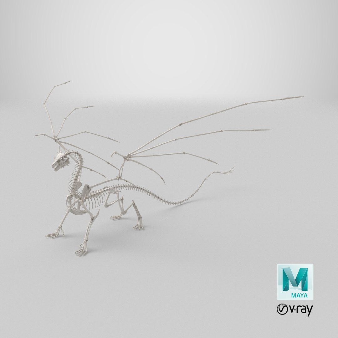 3D Dragon Skeleton https://p.turbosquid.com/ts-thumb/ms/fiuX9R/3m/stemcell_maya_vray_render/png/1742994263/1920x1080/fit_q87/44dec61f2b82a11d65cf9646c1b21a36037c1f34/stemcell_maya_vray_render.jpg