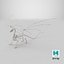 3D Dragon Skeleton