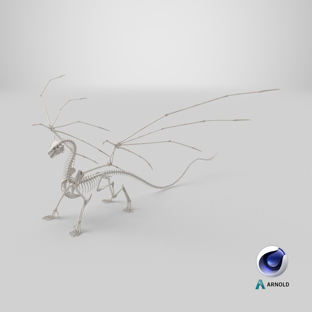 3D Dragon Skeleton https://p.turbosquid.com/ts-thumb/ms/fiuX9R/KB/stemcell_cinema_4d_arnold_render/png/1742994265/1920x1080/fit_q87/c3c71eeaf8074a53f1f1b46575ef46235cc0c946/stemcell_cinema_4d_arnold_render.jpg