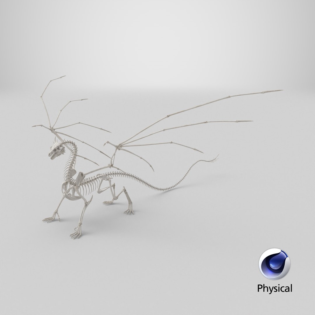 3D Dragon Skeleton https://p.turbosquid.com/ts-thumb/ms/fiuX9R/pS/stemcell_cinema_4d_physical_render/png/1742994266/1920x1080/fit_q87/44a3350cd41edc8b61e275bce3dccd876410c561/stemcell_cinema_4d_physical_render.jpg