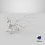 3D Dragon Skeleton