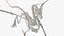 3D Dragon Skeleton
