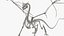 3D Dragon Skeleton