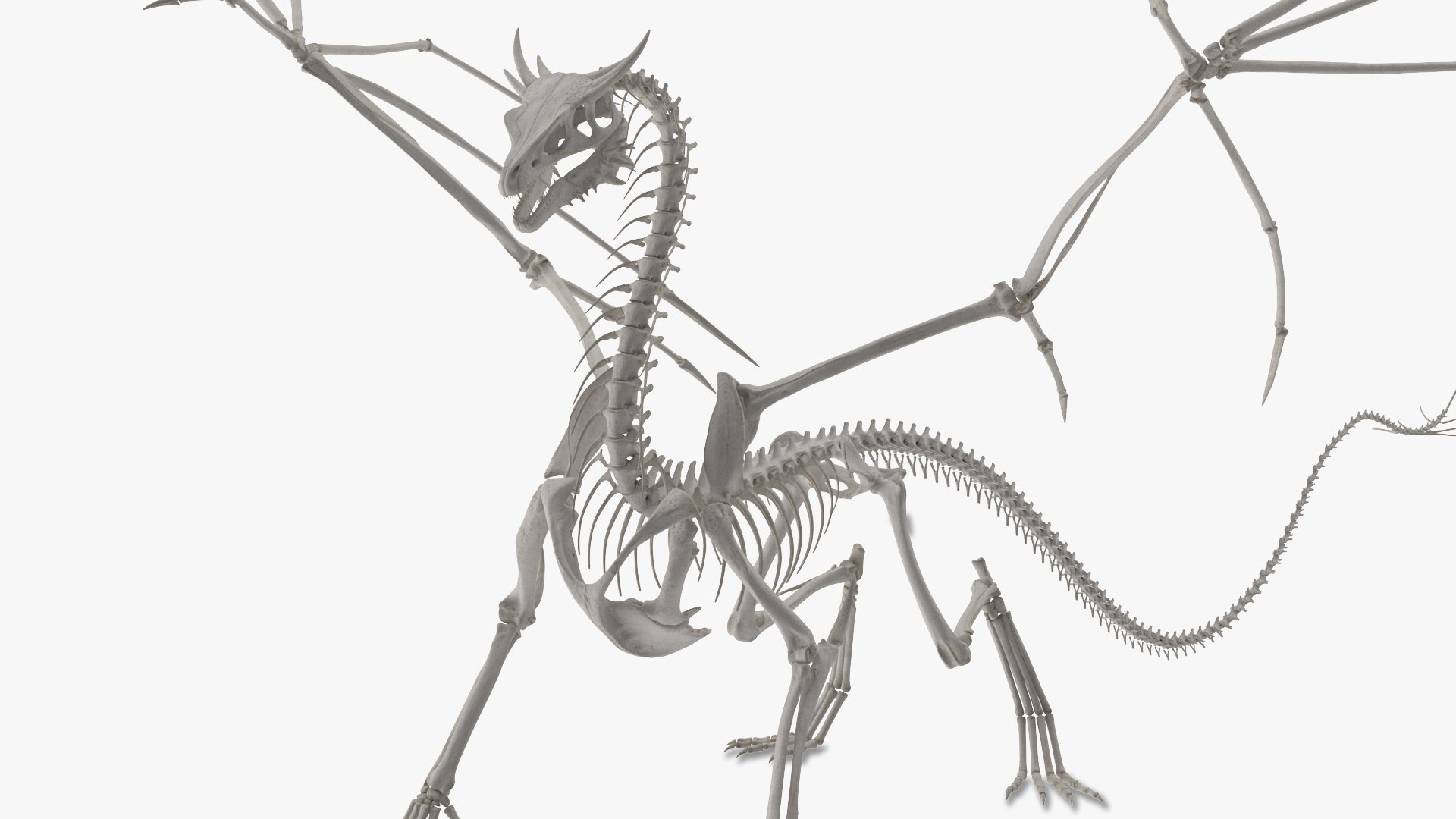 3D Fantasy Dragon Creature and Skeleton Collection https://p.turbosquid.com/ts-thumb/ms/fiuX9R/td/dragon_skeleton_002/jpg/1741111951/1920x1080/fit_q87/c128dc4220287e9e00e7e03d74ae38f6efd2f602/dragon_skeleton_002.jpg