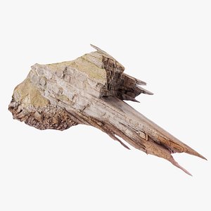 Coastal Cliff Scan 07 16K