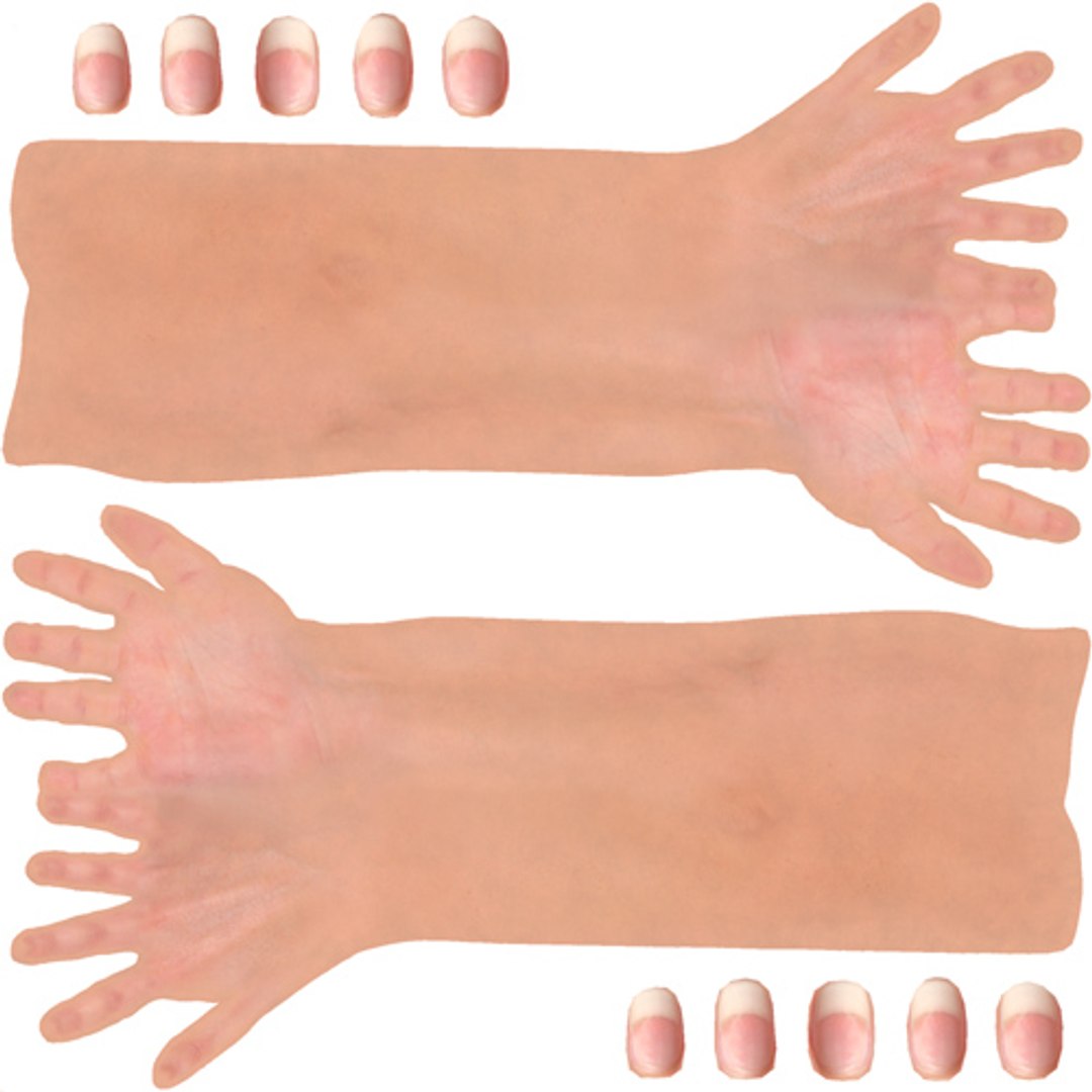 Female Hand Arm 3d Model