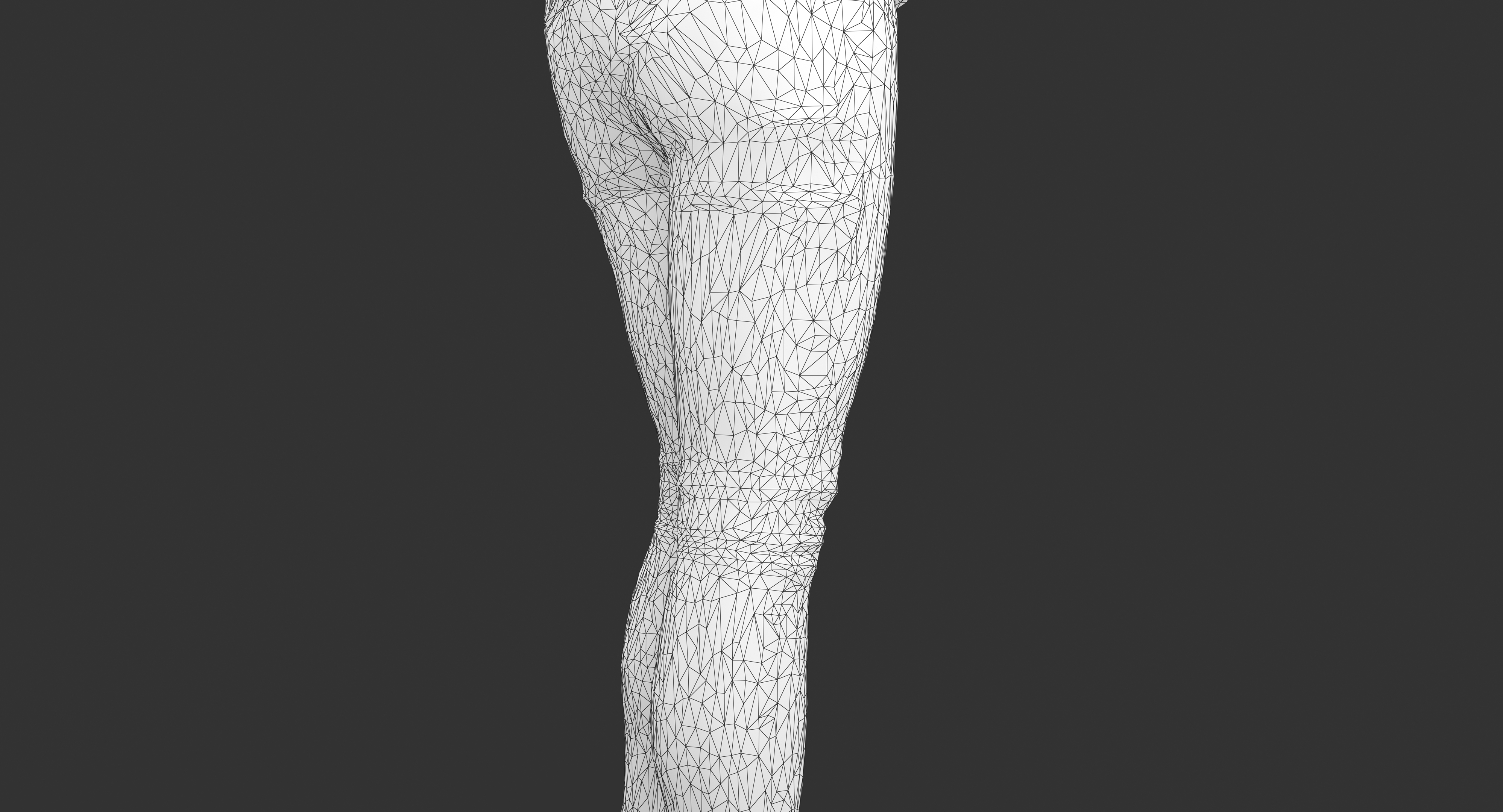 3d model of human body