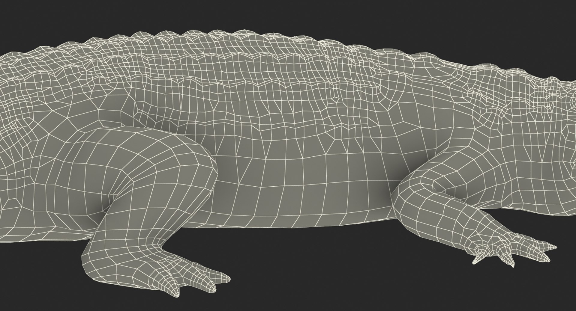 crocodile attacks pose 2 3d model https://p.turbosquid.com/ts-thumb/mt/36zUL6/0DMS4Hv9/crocodileattackspose2mb3dmodel018/jpg/1486968625/1920x1080/fit_q87/fa796d1e577554457e02d44e64ad8fd6ff8eaa3d/crocodileattackspose2mb3dmodel018.jpg