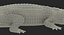 Crocodile Attacks Pose 2