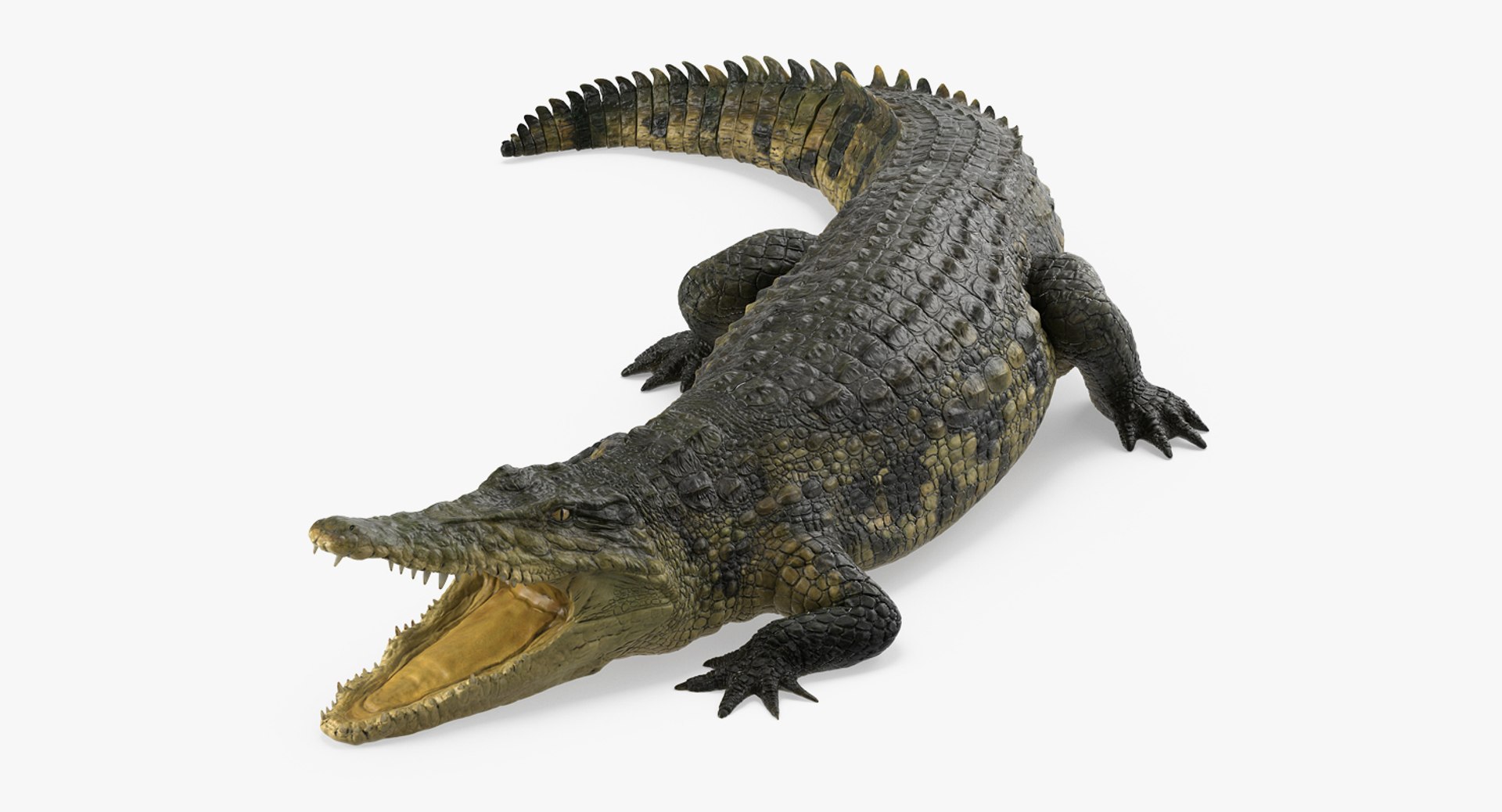 Crocodile Attacks Pose 2 3D model preview