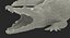 Crocodile Attacks Pose 2