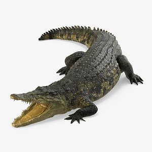 crocodile attacks pose 2 3d model