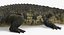 Crocodile Attacks Pose 2