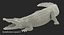Crocodile Attacks Pose 2
