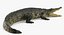 Crocodile Attacks Pose 2