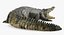 Crocodile Attacks Pose 2