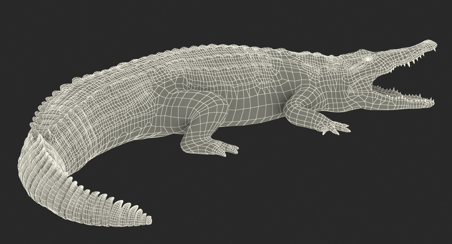 crocodile attacks pose 2 3d model https://p.turbosquid.com/ts-thumb/mt/36zUL6/hIYd6LTn/crocodileattackspose2mb3dmodel014/jpg/1486968625/1920x1080/fit_q87/04732d483ff7eb22d1d6739d7bbf13ff66e84038/crocodileattackspose2mb3dmodel014.jpg