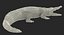 Crocodile Attacks Pose 2