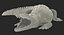 Crocodile Attacks Pose 2