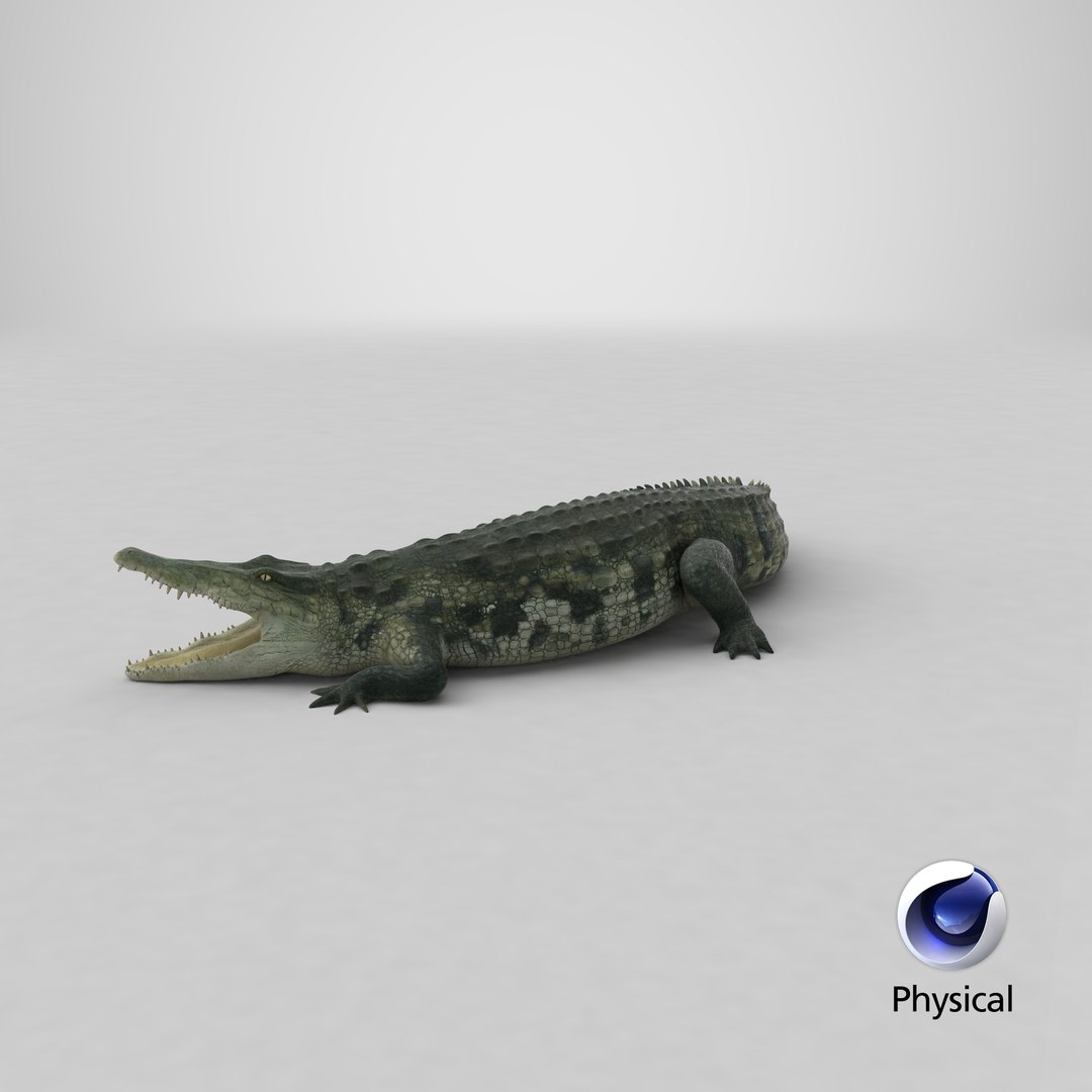 crocodile attacks pose 2 3d model https://p.turbosquid.com/ts-thumb/mt/36zUL6/sZpp1OHU/stemcell_cinema_4d_physical_render/png/1592450979/1920x1080/fit_q87/5b62db4297c5efa1aa6e2a476c197f4ca3656ff5/stemcell_cinema_4d_physical_render.jpg