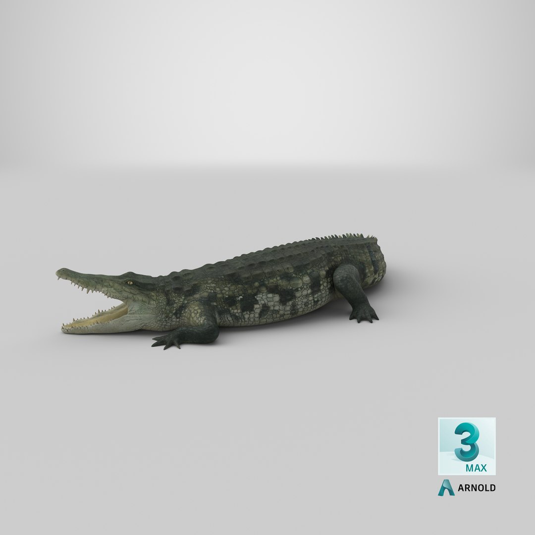 crocodile attacks pose 2 3d model https://p.turbosquid.com/ts-thumb/mt/36zUL6/wGihNtlR/stemcell_max_arnold_render/png/1592450991/1920x1080/fit_q87/2443c02f0e4484e53e09d00efe920820b2c1d631/stemcell_max_arnold_render.jpg
