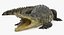 Crocodile Attacks Pose 2