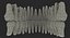 Teeths 의료 모델