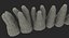 Teeths 의료 모델