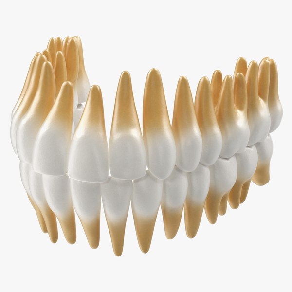 teethsmedicalmodelmb3dmodel000.jpg