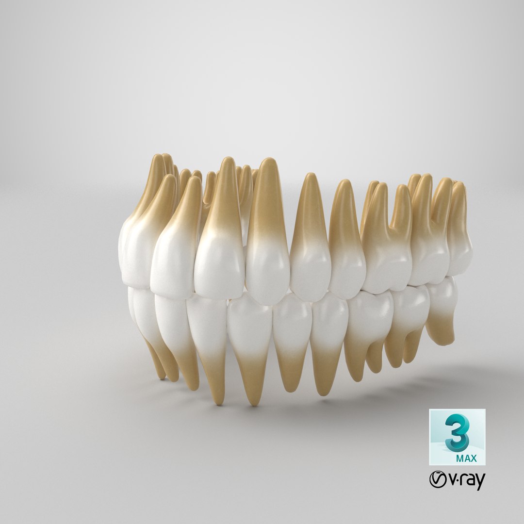 3D teeths medical modeled model https://p.turbosquid.com/ts-thumb/mt/5JAGry/fm/stemcell_max_vray_render/png/1635840696/1920x1080/fit_q87/4c63bd535a38e97d026f8ec256bd05d461deca70/stemcell_max_vray_render.jpg