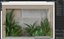Plant Wall Garden 06