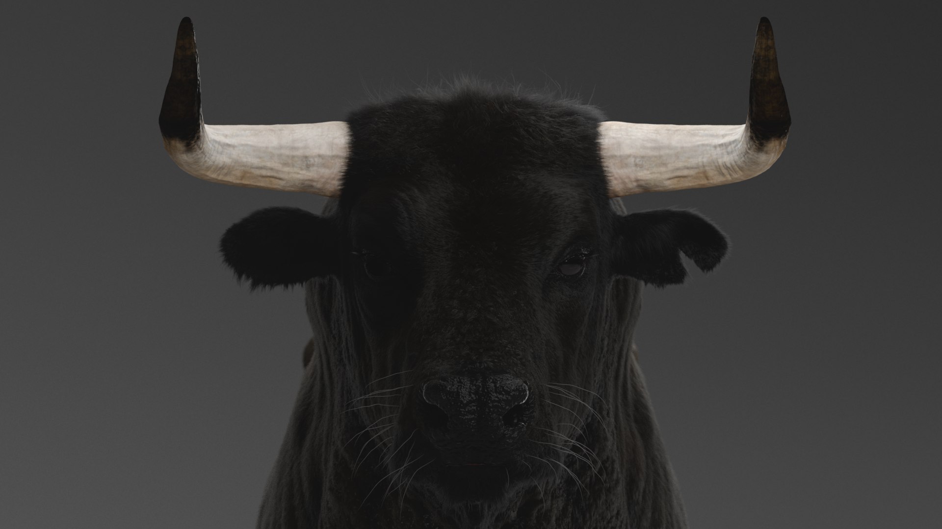 Bull ANIMATED model https://p.turbosquid.com/ts-thumb/mt/UsQiAo/0u/6/png/1635514299/1920x1080/fit_q87/cc7cee37a6485fbbc79d72f73986aba51993d526/6.jpg