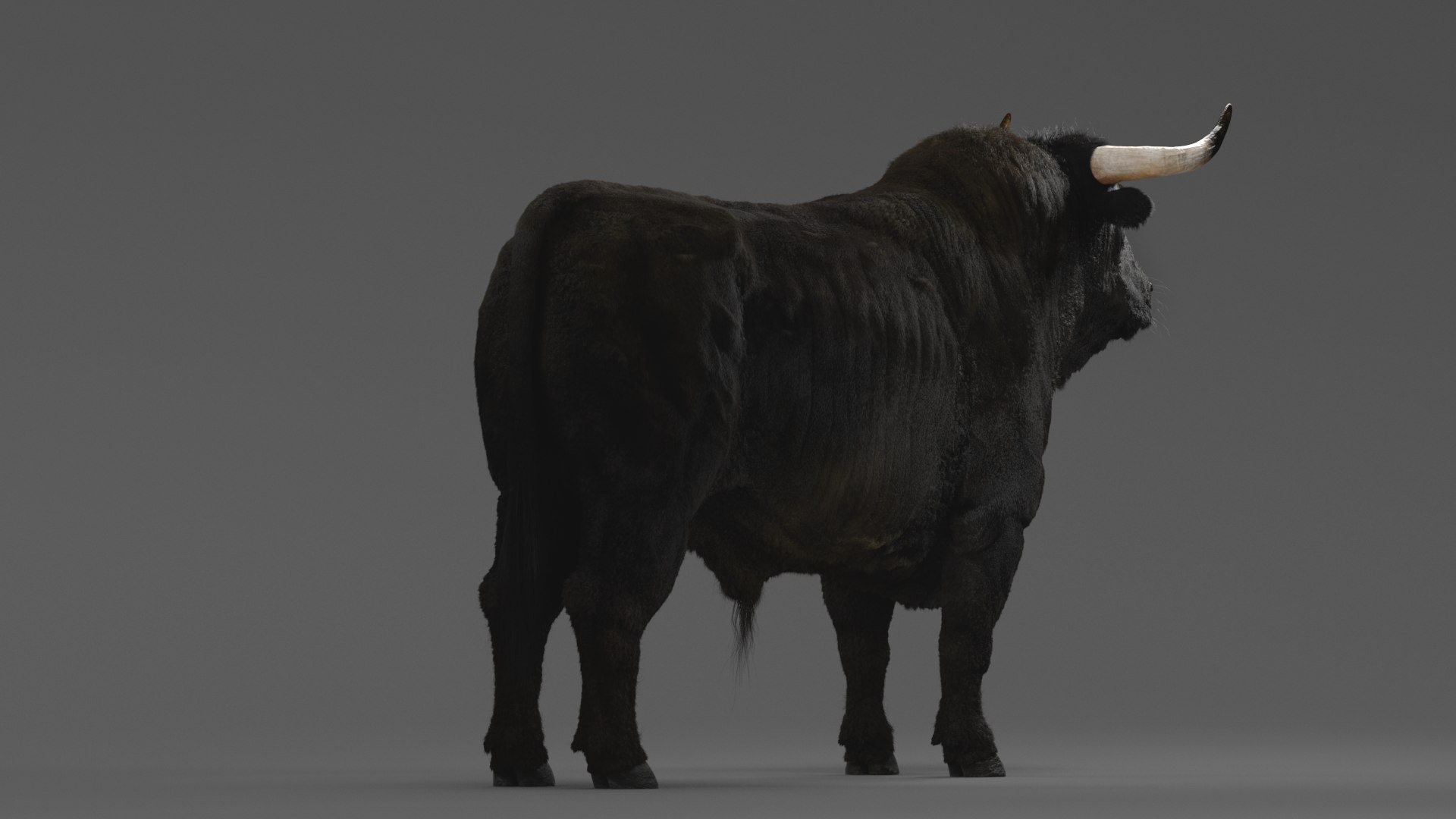 Bull ANIMATED model https://p.turbosquid.com/ts-thumb/mt/UsQiAo/2V/3/png/1635514298/1920x1080/fit_q87/77860bb7f6a95a1af17de19a30d1ba567043191c/3.jpg