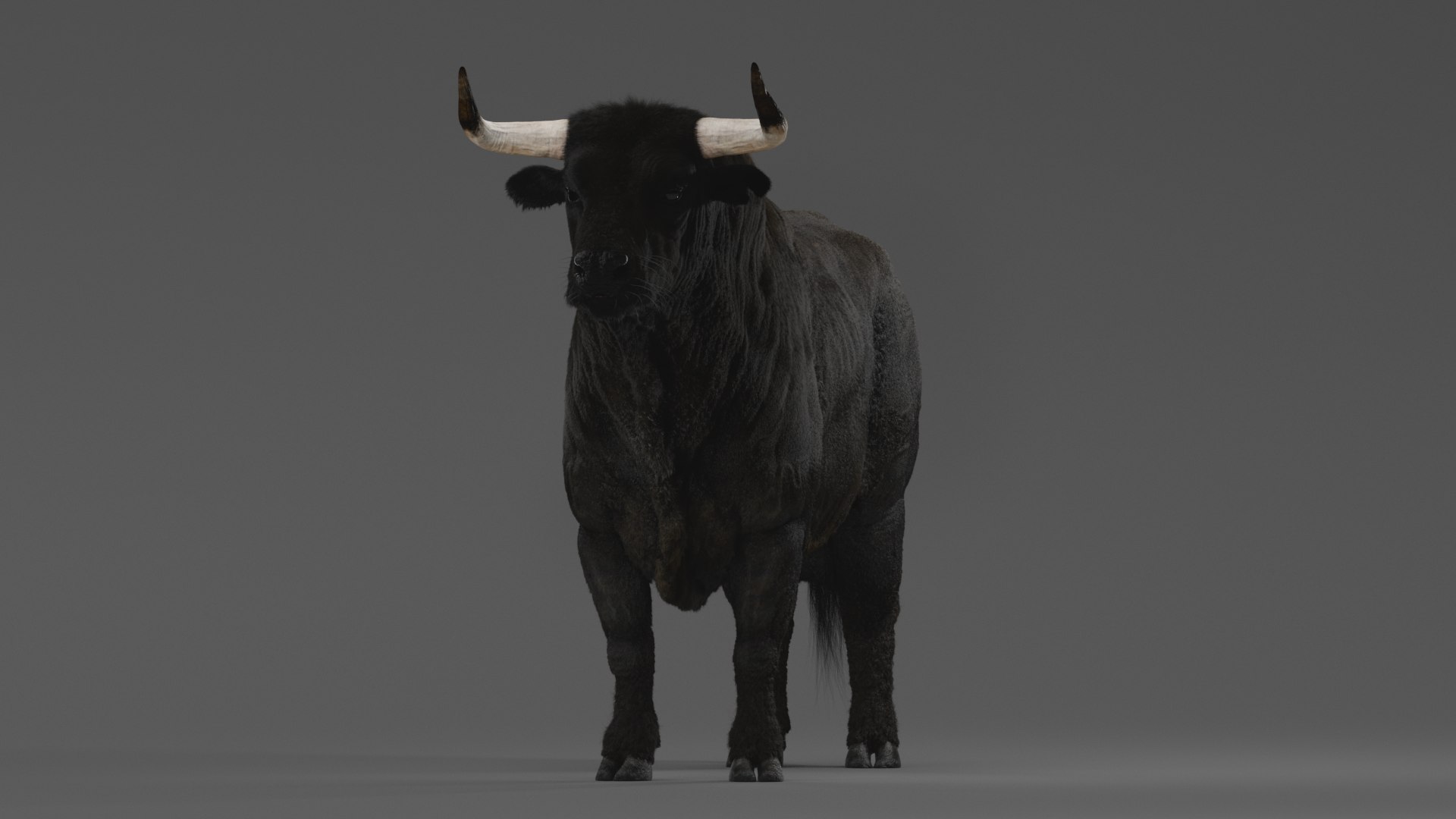 Bull ANIMATED model https://p.turbosquid.com/ts-thumb/mt/UsQiAo/DQ/5/png/1635514294/1920x1080/fit_q87/683ed96a37eb6794c8f73e620140206358838c23/5.jpg