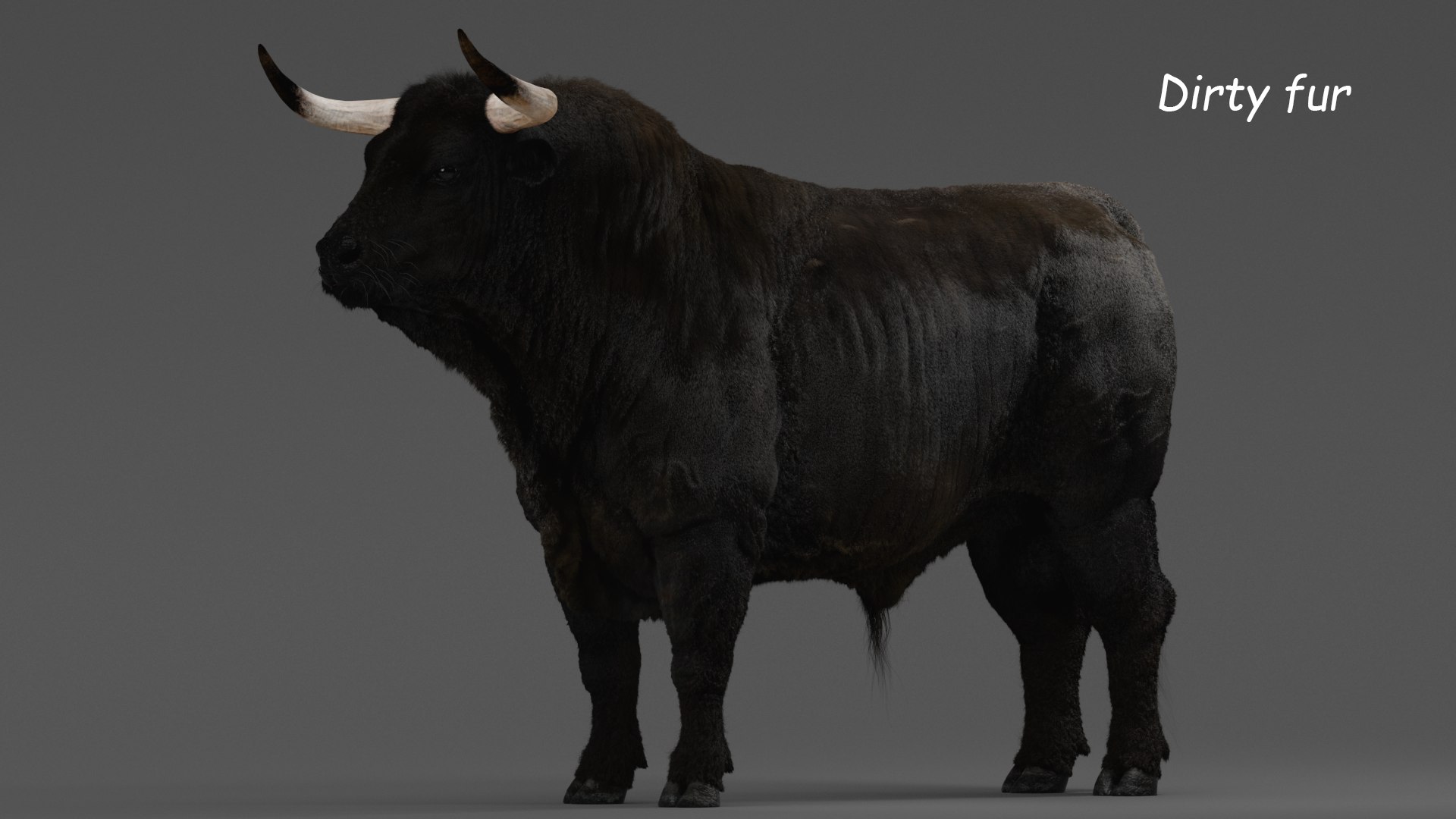 Bull ANIMATED model https://p.turbosquid.com/ts-thumb/mt/UsQiAo/J1/1_dirty/png/1635514292/1920x1080/fit_q87/625f375a1d2bac34fbc43bc73d2d79b65ca7e84c/1_dirty.jpg