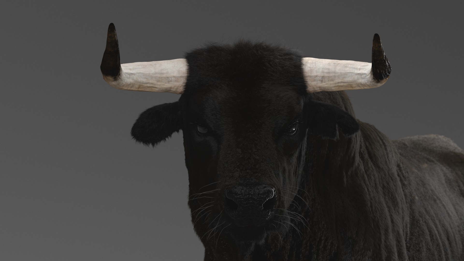 Bull ANIMATED model https://p.turbosquid.com/ts-thumb/mt/UsQiAo/LA/15/png/1635514303/1920x1080/fit_q87/f8c50aaa20f289119be8f58e2a83fc6f05c9078a/15.jpg