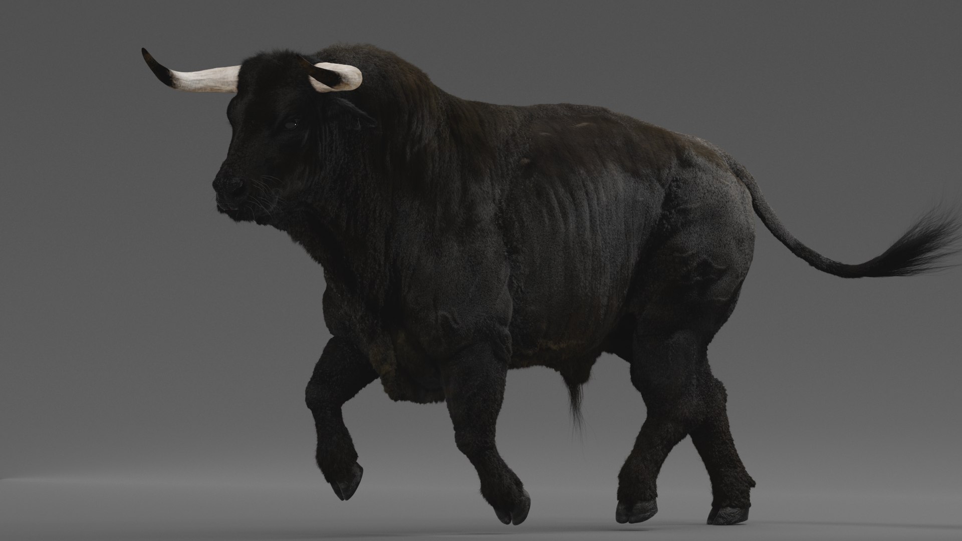 Bull ANIMATED model https://p.turbosquid.com/ts-thumb/mt/UsQiAo/Ld/11/png/1635514325/1920x1080/fit_q87/817c98abe11a47e0f2d4eafc48c13a0828611b71/11.jpg