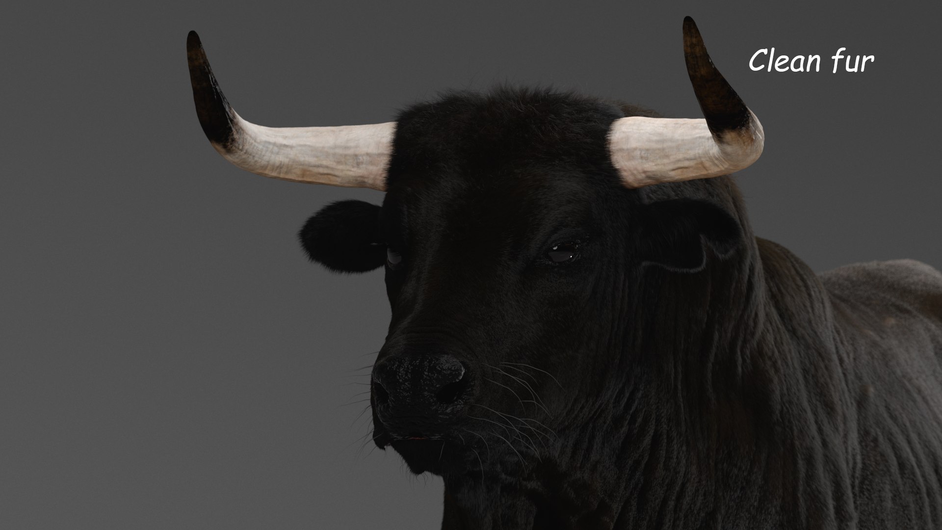 Bull ANIMATED model https://p.turbosquid.com/ts-thumb/mt/UsQiAo/M1/2_clear/png/1635514307/1920x1080/fit_q87/29f57fb2d19b27ed7c5bd2ac550f8d640a05879e/2_clear.jpg