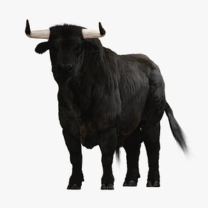 Bull ANIMATED model
