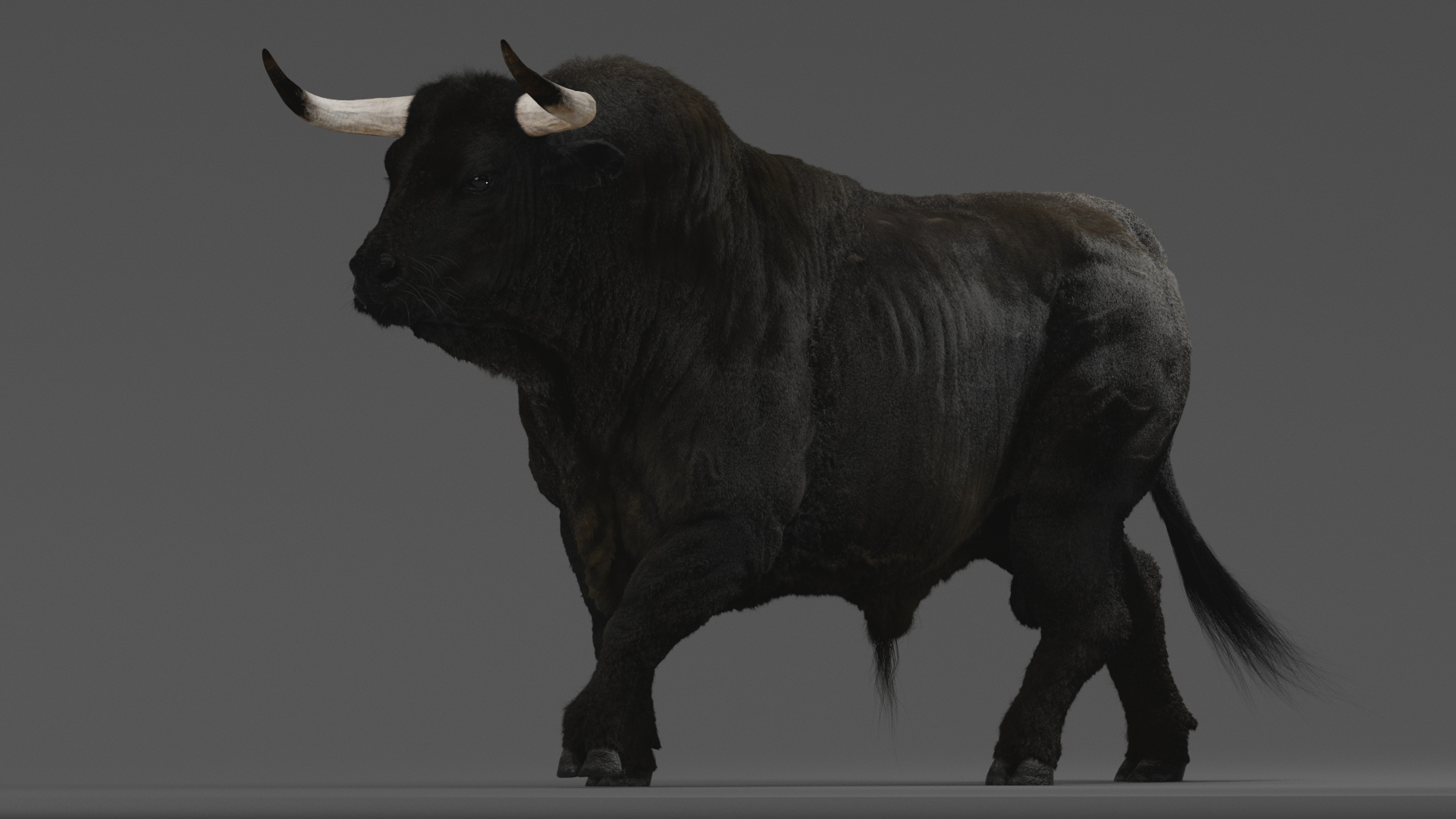 Bull ANIMATED model https://p.turbosquid.com/ts-thumb/mt/UsQiAo/XT/b/png/1635515966/1920x1080/turn_fit_q99/03b3e4930ef902f3bade938eb023051070e2b74c/b-1.jpg