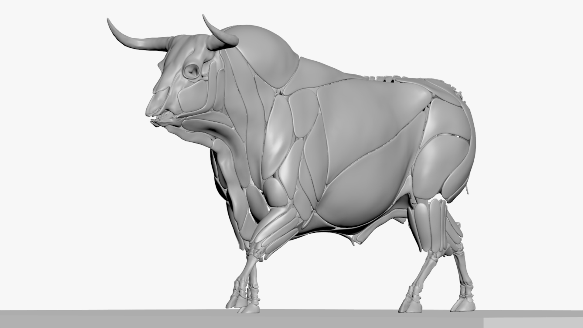 Bull ANIMATED model https://p.turbosquid.com/ts-thumb/mt/UsQiAo/lN/b/png/1635516193/1920x1080/turn_fit_q99/1ef2d7d7e8436b6b194b6556b80664ead8e1e240/b-1.jpg